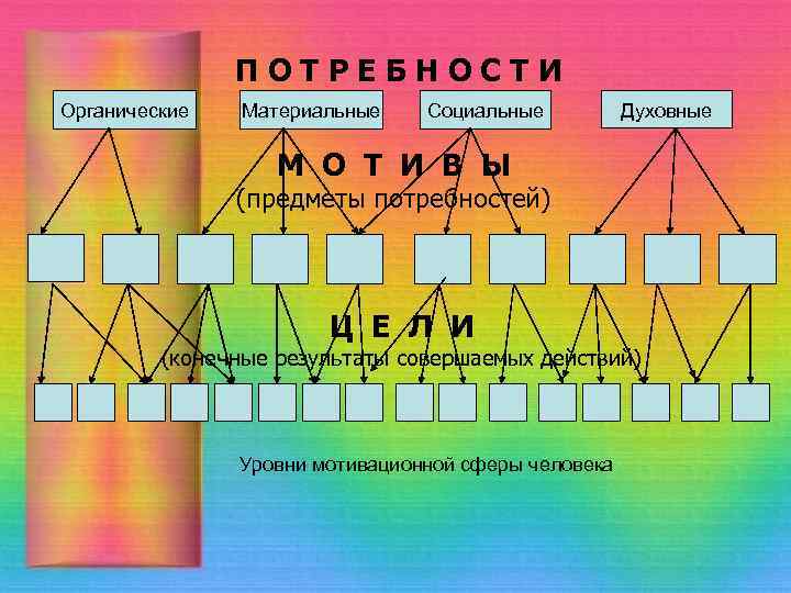 Материальная сфера человека. Структура мотивационной сферы человека. Уровни мотивационной сферы человека. Общее строение мотивационной сферы человека. Схема мотивационной сферы человека.