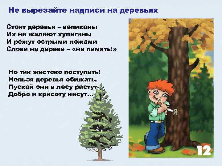Не вырезайте надписи на деревьях Стоят деревья – великаны Их не жалеют хулиганы И