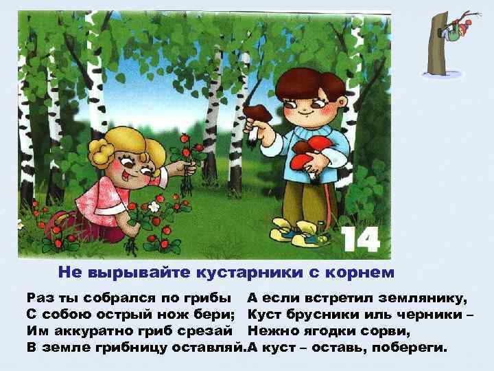 Не вырывайте кустарники с корнем Раз ты собрался по грибы А если встретил землянику,