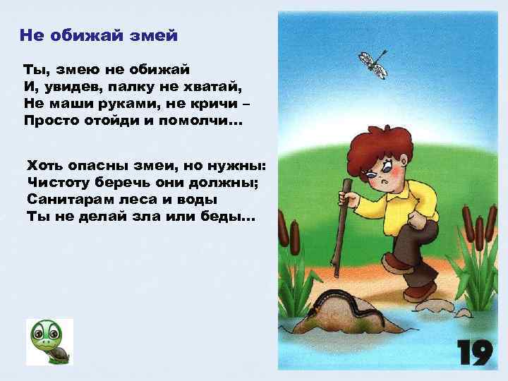 Не обижай змей Ты, змею не обижай И, увидев, палку не хватай, Не маши