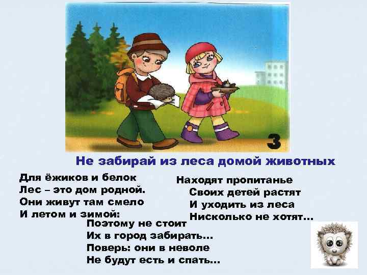 Не забирай из леса домой животных Для ёжиков и белок Находят пропитанье Лес –