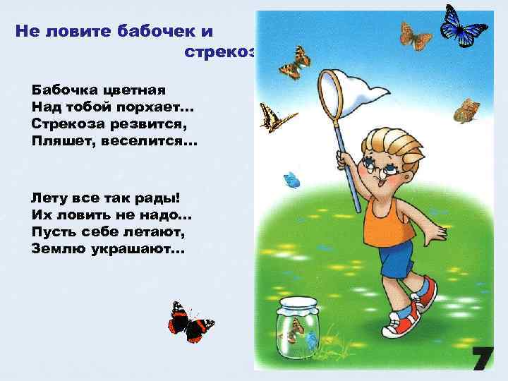 Не ловите бабочек и стрекоз Бабочка цветная Над тобой порхает… Стрекоза резвится, Пляшет, веселится…
