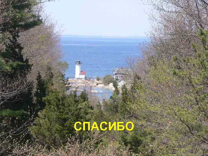 Благодарю за внимание СПАСИБО 