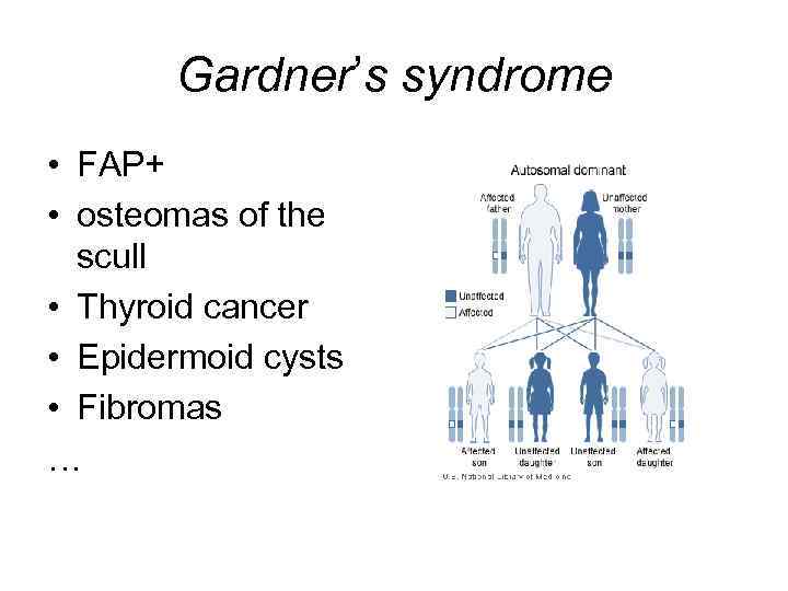 Gardner’s syndrome • FAP+ • osteomas of the scull • Thyroid cancer • Epidermoid