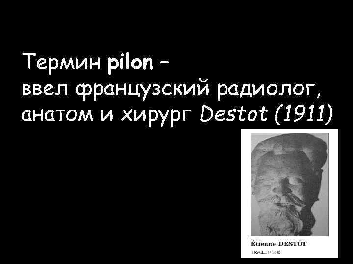 Термин pilon – ввел французский радиолог, анатом и хирург Destot (1911) 
