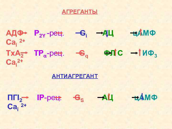 АГРЕГАНТЫ АДФ Саi 2+ Тх. А 2 Саi 2+ P 2 Y -рец. Gi