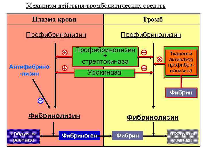 Механизм действия тромболитических средств Плазма крови Тромб Профибринолизин Антифибрино -лизин Профибринолизин + стрептокиназа Урокиназа