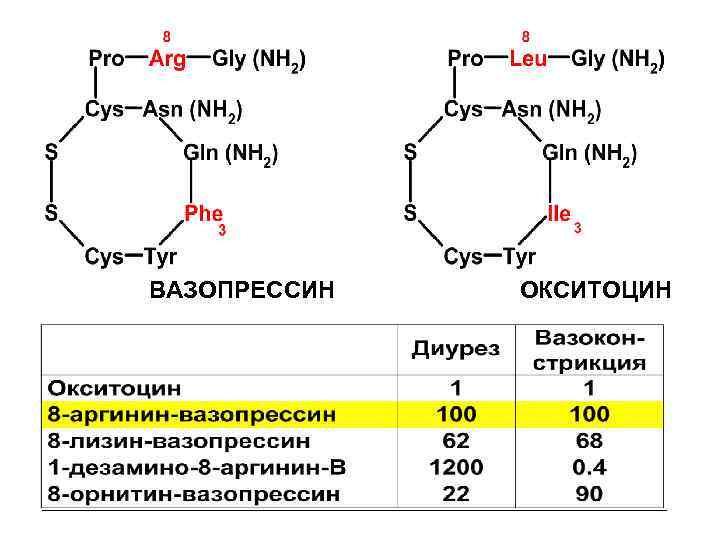 Окситоцин презентация биохимия