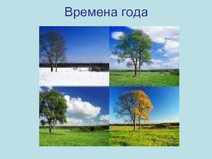 Времена года 