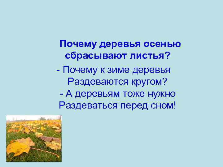  Почему деревья осенью сбрасывают листья? - Почему к зиме деревья Раздеваются кругом? -