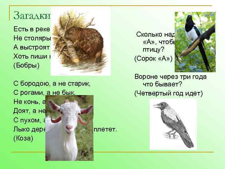 Загадки Есть в реке работники, Не столяры, не плотники, А выстроят плотину – Хоть