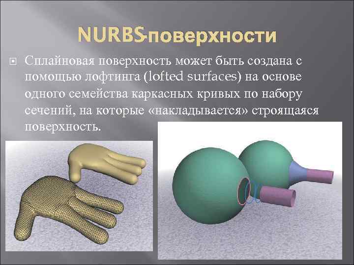 -поверхности NURBS Сплайновая поверхность может быть создана с помощью лофтинга (lofted surfaces) на основе