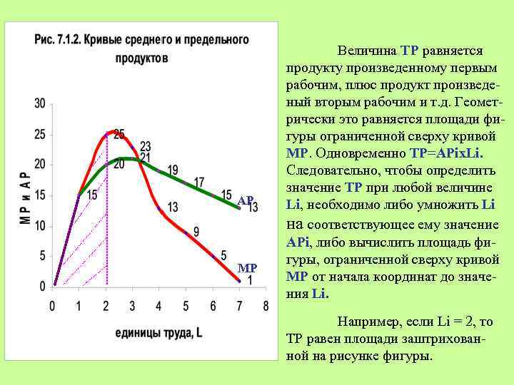 AP MP Величина ТР равняется продукту произведенному первым рабочим, плюс продукт произведеный вторым рабочим