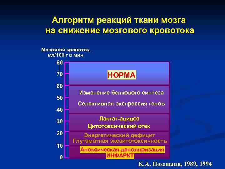 Алгоритм реакций ткани мозга на снижение мозгового кровотока Мозговой кровоток, мл/100 г в мин