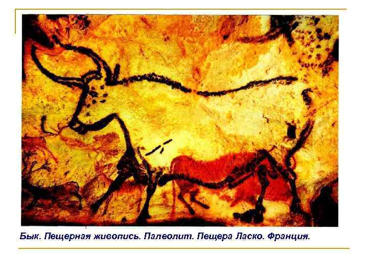 Бык. Пещерная живопись. Палеолит. Пещера Ласко. Франция. 