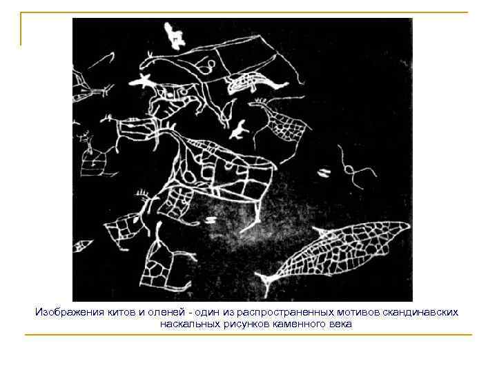 Изображения китов и оленей - один из распространенных мотивов скандинавских наскальных рисунков каменного века