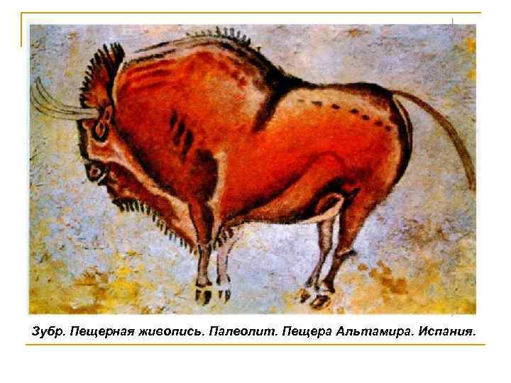 Зубр. Пещерная живопись. Палеолит. Пещера Альтамира. Испания. 