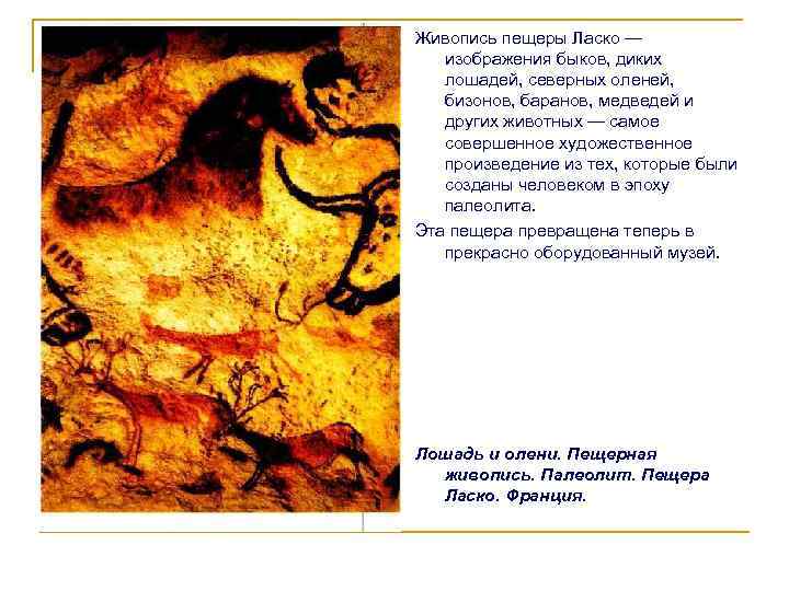 Живопись пещеры Ласко — изображения быков, диких лошадей, северных оленей, бизонов, баранов, медведей и