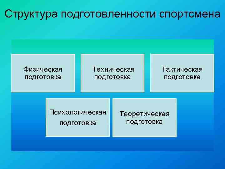 Структура подготовленности спортсмена Физическая подготовка Техническая подготовка Психологическая подготовка Тактическая подготовка Теоретическая подготовка 