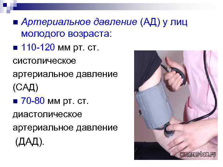 n Артериальное давление (АД) у лиц молодого возраста: 110 -120 мм рт. ст. систолическое