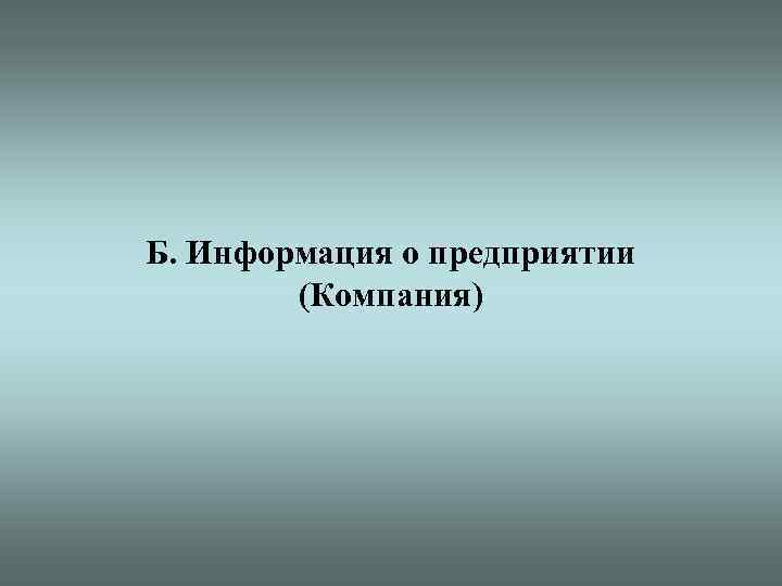 Б. Информация о предприятии (Компания) 25 