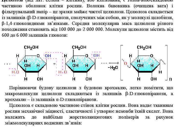 Целюлоза (від лат. cellula – клітина), або клітковина, є голов ною складовою частиною оболонок