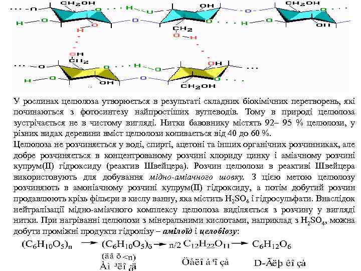 У рослинах целюлоза утворюється в результаті складних біохімічних перетворень, які починаються з фотосинтезу найпростіших