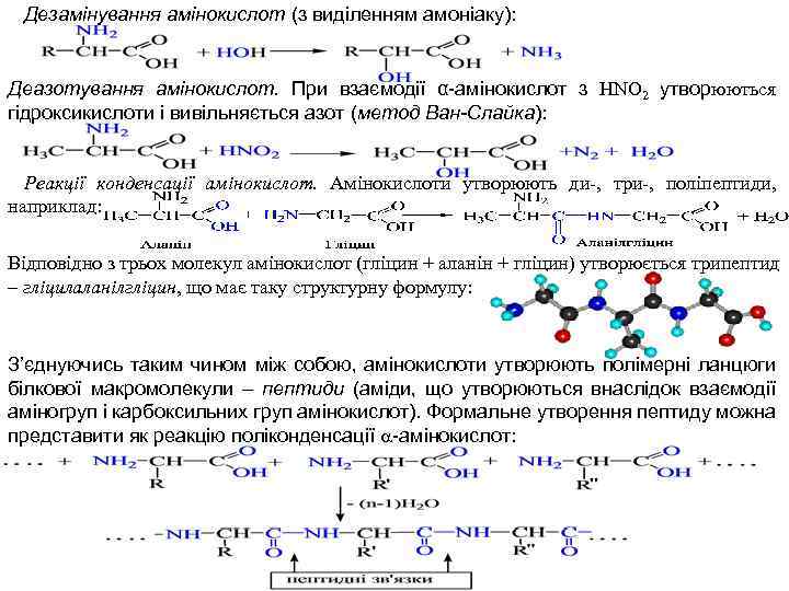 Дезамінування амінокислот (з виділенням амоніаку): Деазотування амінокислот. При взаємодії α-амінокислот з HNO 2 утворюються