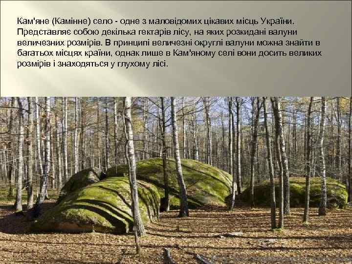 Кам'яне (Камінне) село - одне з маловідомих цікавих місць України. Представляє собою декілька гектарів
