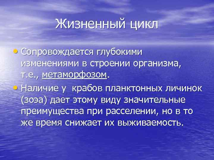 Жизненный цикл • Сопровождается глубокими изменениями в строении организма, т. е. , метаморфозом. •