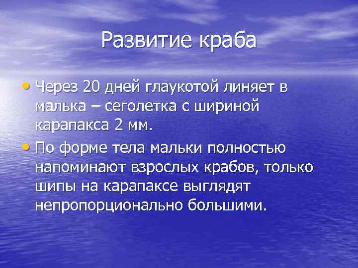 Развитие краба • Через 20 дней глаукотой линяет в малька – сеголетка с шириной