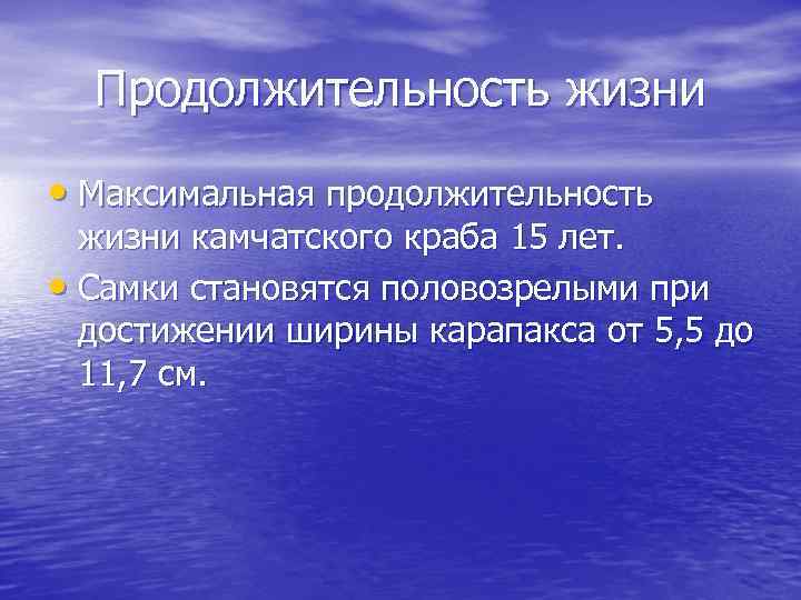 Продолжительность жизни • Максимальная продолжительность жизни камчатского краба 15 лет. • Самки становятся половозрелыми