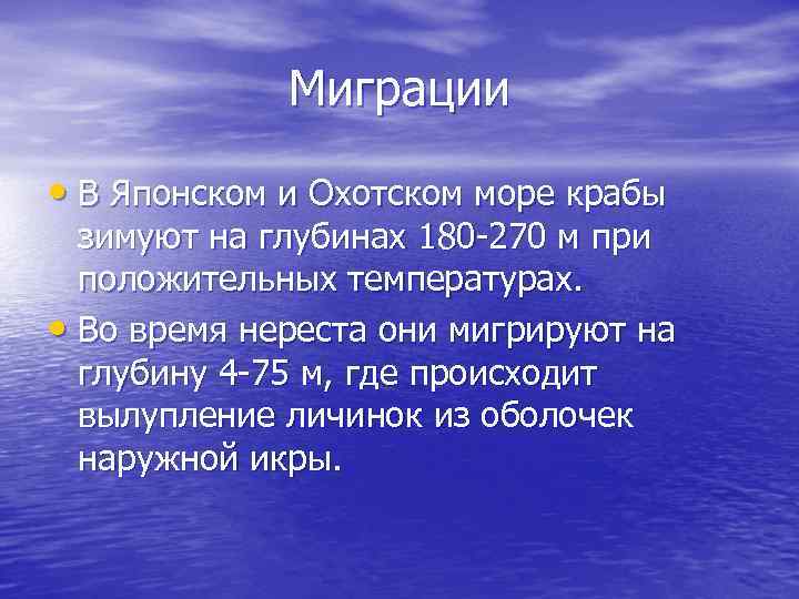 Миграции • В Японском и Охотском море крабы зимуют на глубинах 180 -270 м