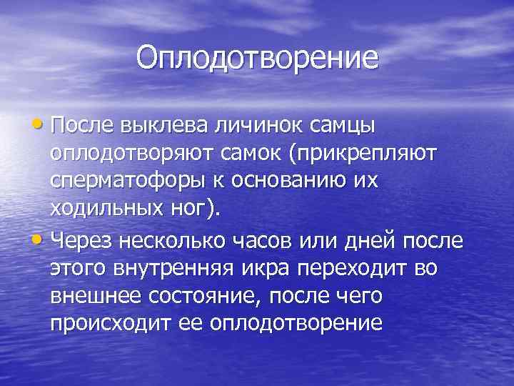 Оплодотворение • После выклева личинок самцы оплодотворяют самок (прикрепляют сперматофоры к основанию их ходильных