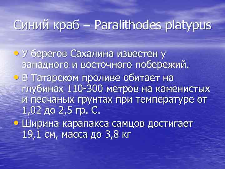 Синий краб – Paralithodes platypus • У берегов Сахалина известен у западного и восточного
