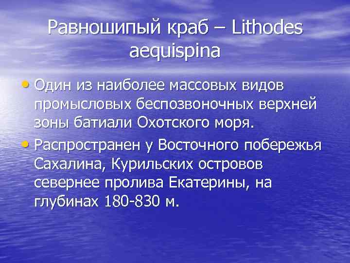 Равношипый краб – Lithodes aequispina • Один из наиболее массовых видов промысловых беспозвоночных верхней