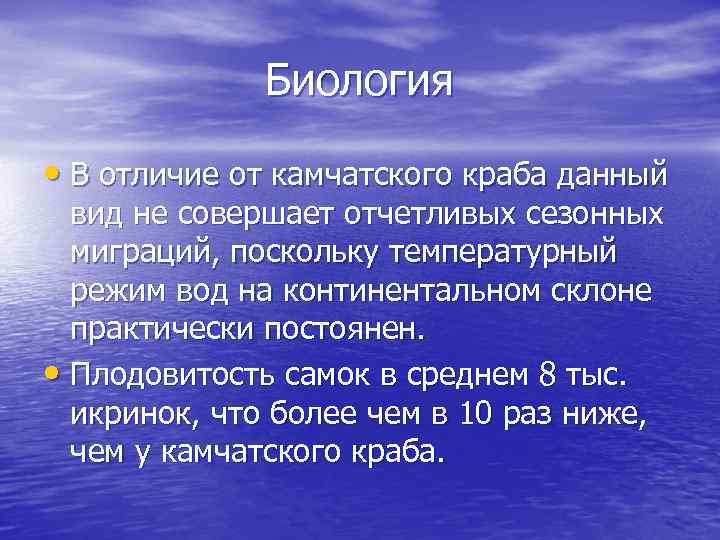 Биология • В отличие от камчатского краба данный вид не совершает отчетливых сезонных миграций,