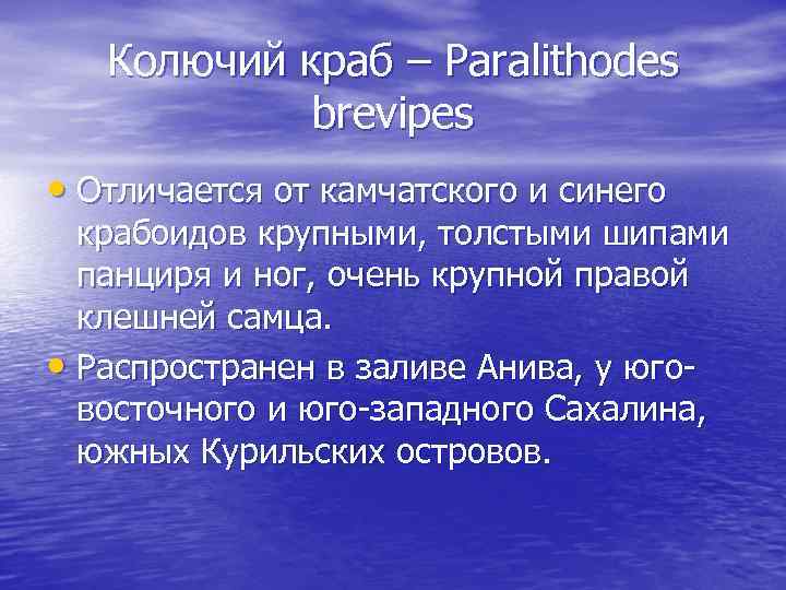 Колючий краб – Paralithodes brevipes • Отличается от камчатского и синего крабоидов крупными, толстыми