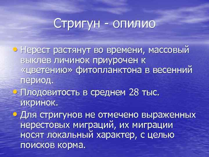 Стригун - опилио • Нерест растянут во времени, массовый выклев личинок приурочен к «цветению»