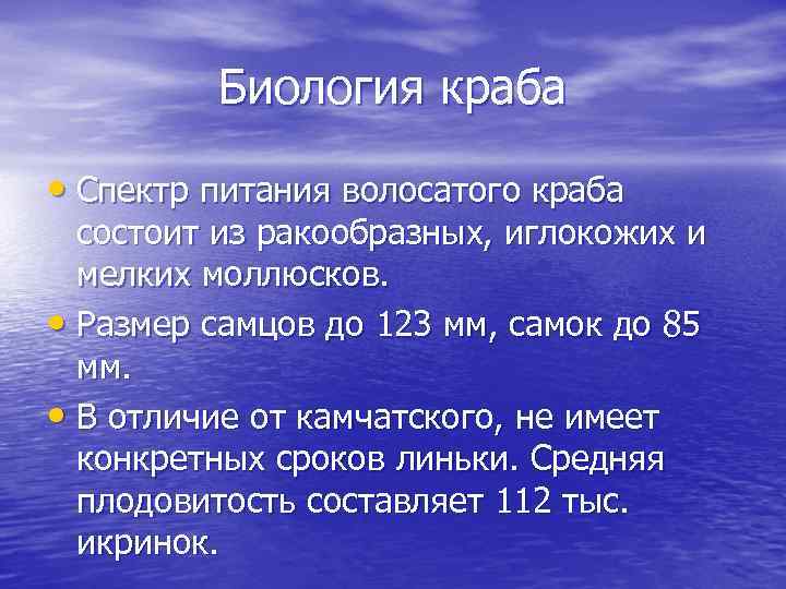 Биология краба • Спектр питания волосатого краба состоит из ракообразных, иглокожих и мелких моллюсков.