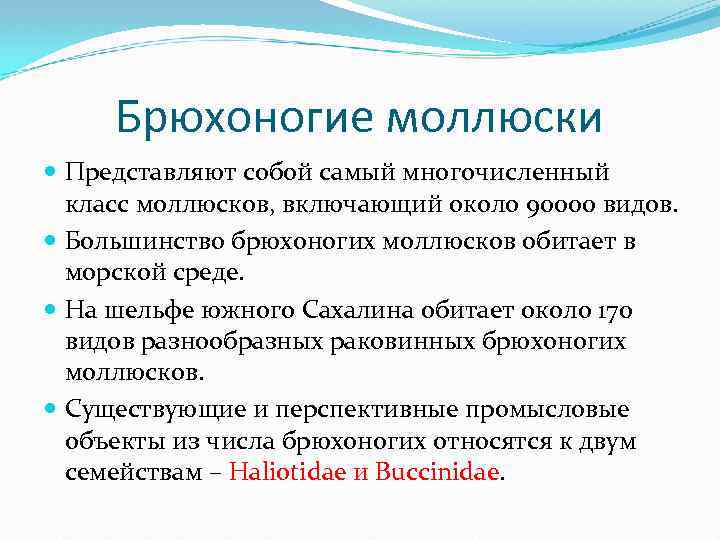Брюхоногие моллюски Представляют собой самый многочисленный класс моллюсков, включающий около 90000 видов. Большинство брюхоногих