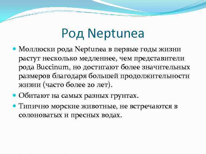 Род Neptunea Моллюски рода Neptunea в первые годы жизни растут несколько медленнее, чем представители