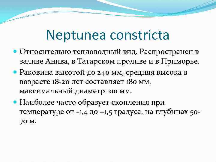 Neptunea constricta Относительно тепловодный вид. Распространен в заливе Анива, в Татарском проливе и в