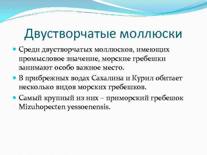 Двустворчатые моллюски Среди двустворчатых моллюсков, имеющих промысловое значение, морские гребешки занимают особо важное место.