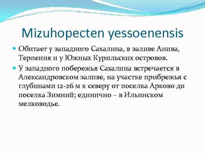 Mizuhopecten yessoenensis Обитает у западного Сахалина, в заливе Анива, Терпения и у Южных Курильских