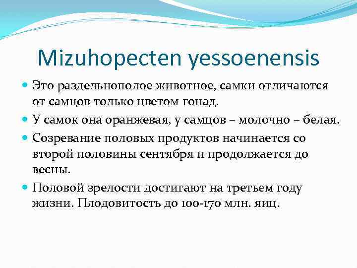 Mizuhopecten yessoenensis Это раздельнополое животное, самки отличаются от самцов только цветом гонад. У самок