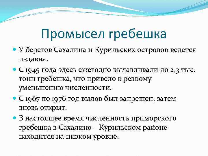Промысел гребешка У берегов Сахалина и Курильских островов ведется издавна. С 1945 года здесь