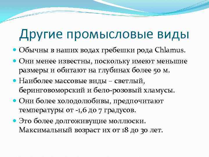 Другие промысловые виды Обычны в наших водах гребешки рода Chlamus. Они менее известны, поскольку