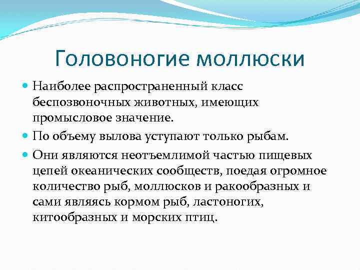 Головоногие моллюски Наиболее распространенный класс беспозвоночных животных, имеющих промысловое значение. По объему вылова уступают