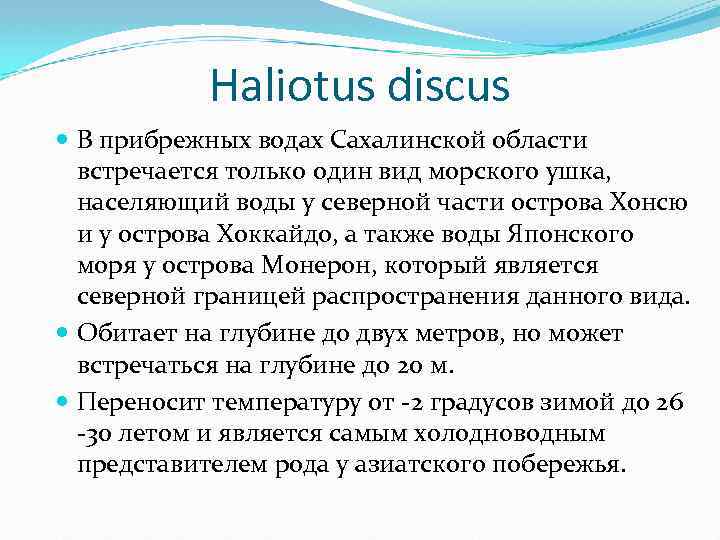 Haliotus discus В прибрежных водах Сахалинской области встречается только один вид морского ушка, населяющий